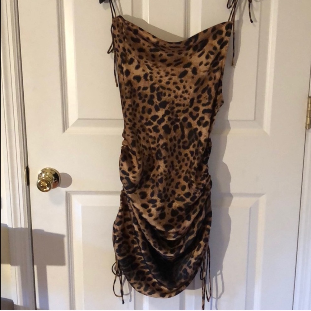 Leopard Dress - Picture 5 of 5